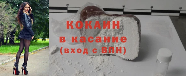 шишки Аркадак