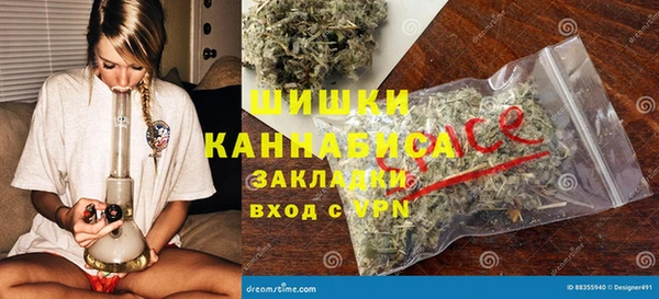 шишки Аркадак