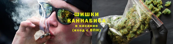 шишки Аркадак