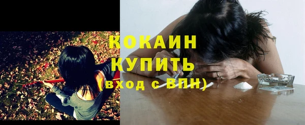 шишки Аркадак