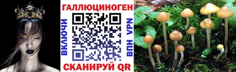 Галлюциногенные грибы мицелий  где купить наркоту  Малоархангельск 